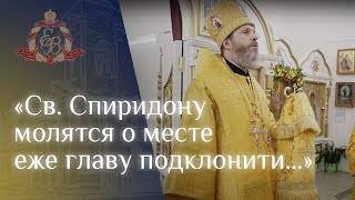 Архипастырское слово в день престольного праздника свт. Спиридона Тримифунтского в Борисовой Гриве