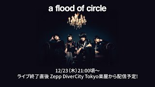 a flood of circle 2021.12.23（木）21:00頃〜配信予定