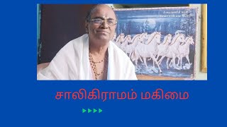 614.சாலிகிராமம் மகிமை#சாலிகிராமம்