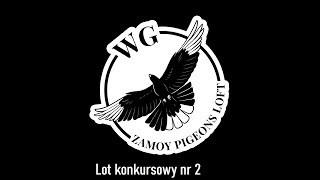 WG Zamoy Pigeons Loft 2023 lot konkursowy nr 2