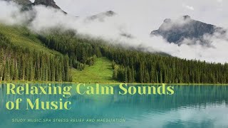 Relaxing Calm Sounds of Music : Study, Spa Music ,Stress Relief and meditation