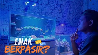 KENAPA GA DARI DULU❓KELEBIHAN DAN KEKURANGAN PAKAI PASIR Vs BARE BOTTOM ⁉️