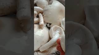 झारखंड का बहुत ही फेमस खुखरी (Desi Mushroom) बनाने का बहुत ही आसान तरीका | Desi Mushroom Ki Sabji