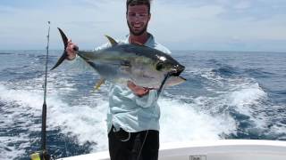 Topwater  Yellowfin Tuna, Costa Rica