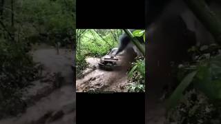 mitsubishi triton crazy diesel in the mud #mitsubishi #offroad  #mud