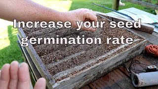 How to increase your seed germination rate in your garden