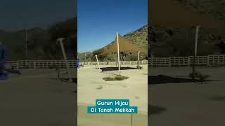 Gurun Hijau Di Tanah Mekkah #shorts #viral #2024