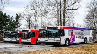 American University Low Floor Gillig Shuttle Buses in Washington DC!