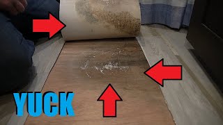 RV Floor Water Damage Repair | Part One