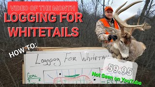 Logging For Whitetail Deer Hunting