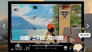 유럽여행 - 스위스 기차 여행🇨🇭 꿀팁과 정보 쏙쏙!! 스위스풍경 I 취리히공항 I 인터라켄역