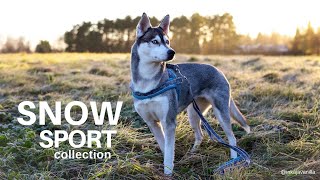 Finnero: Huskies and SNOW dog harnesses