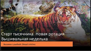 Старт тысячника. Новая ротация. Отчет по неделе