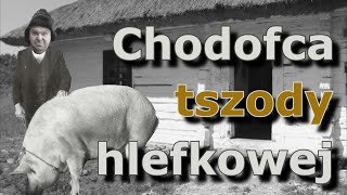 DZIEŃ Z ŻYCIA HODOWCY TRZODY CHLEWKOWEJ ⏱️🐖 Krzysztof Kononowicz 🐷