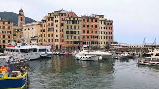 Porto di Camogli