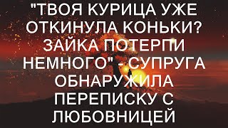 "Твоя курица уже откинула коньки? Зайка потерпи немного" - Супруга обнаружила переписку с любовниц