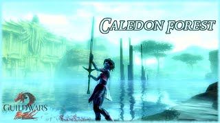 Guild Wars 2 - Caledon Forest Longplay 100% Walkthrough 4k (No Commentary)