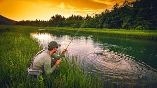 Невероятная рыбалка на Каховском Водохранилище