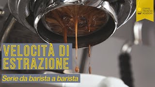 Coffee Training Academy - Webinars Serie (ESCLUSIVO)