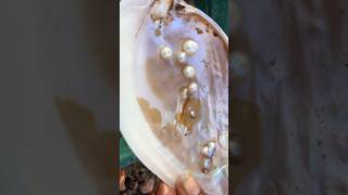 Pearl / मोती | How To Make Pearls #pearl #farming  #shorts