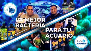 La mejor bacteria para tu acuario