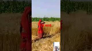 Gehun Kate gailu  ki Bate gailu #parmod_premi_bhojpuri_song #shortvideo #Rana Ranjan Singh