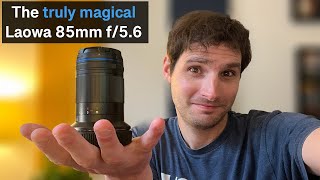 Laowa 85mm f/5.6 2x Macro - the lens I didn't know I needed until now