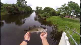 Bass Fishing : Quick Afternoon Bridge Fishing