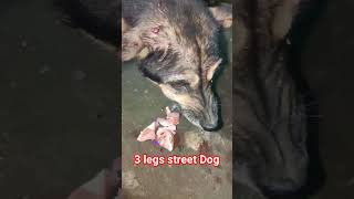 Some chicken nuggets for street dog, Handicapped Dog #dog #doglover #dogshorts #dogs #ytshorts