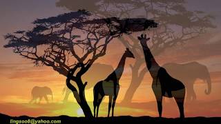 Animals In Sunsets 19