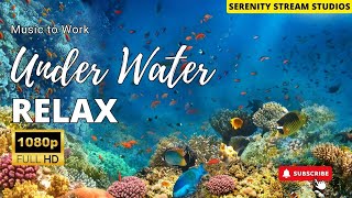 3 HOURS Stunning  Underwater footage + Music | Nature Relaxation Rare & Colorful Sea Life Video