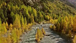 Morteratsch im Herbst