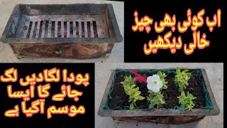 کوئی بھی خالی چیز میں پودے لگادیں|موسم۔ بھت اچھا اگیا ھے|سب پودے اب لگ جائیں گے