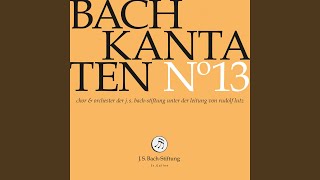 Ihr werdet weinen und heulen, BWV 103: Du wirst mich nach der Angst auch wiederum erquicken