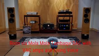 Roon via Mola Mola Tambaqui DAC, VAC amps and Living Voice