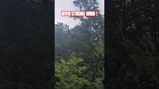 [Short Logs] Wow, Strong wind! #Shorts #wind