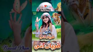 Trei duwa ki bhodlat nawal Khan shorts videos #trendingshorts #youtubeshorts #@cradit nawal Khan