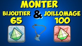 [DOFUS TOUCH] MONTER BIJOUTIER 65 & JOILLOMAGE 100 #Métier1