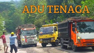 NEKAT... ! Adu kekuatan dump truk HINO ISUZU ELF DYNA GIGA FUSO di tanjakan ngrandu