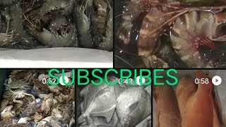 sari saring mga isda idol🥰🥰🙏#subscribe #fishing #viralvideo #trending @jonathansascvlog