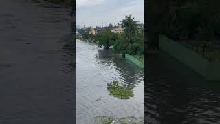 Dr.MGR college flooded… #chennai #chennaifloods #madhuravoyal #poonamallee