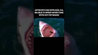 AFTER BITCOIN HITS $40K, I'LL BE ABLE TO SPEND MORE TIME WITH MY PET SHARK #funny #shark