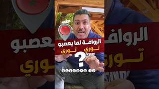 الروافة المعقول و لكن شنو كيقولوا لما يعصبوا #الروافة