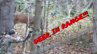 Early Season Bowhunting | We Found Some Deer!