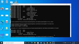 6th Step after Install Golang in Windows 10 | 1st Step after install Tebeks Selenium WD