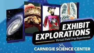 Exhibit Explorations – NEW Virtual Field Trips