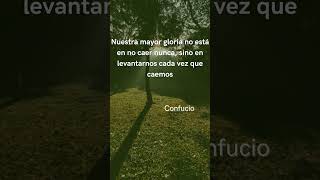 Frases motivacionales. Motivate. Bosque