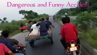 Dangerous and Funny Accident | Buffalo Race | Funny Video | Dangerous Funny Clip | Saleem Vlogs