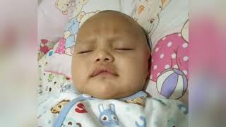 Baby Queen botak version