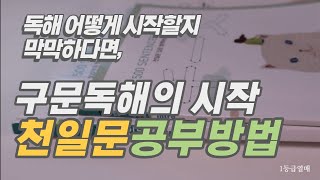 외고출신 영어쌤이 알려주는 천일문 구문독해 / 첫 독해의 시작 / 영어독해하는 법/ 중학생 영어독해 / 천일문 입문 / 일등급열매